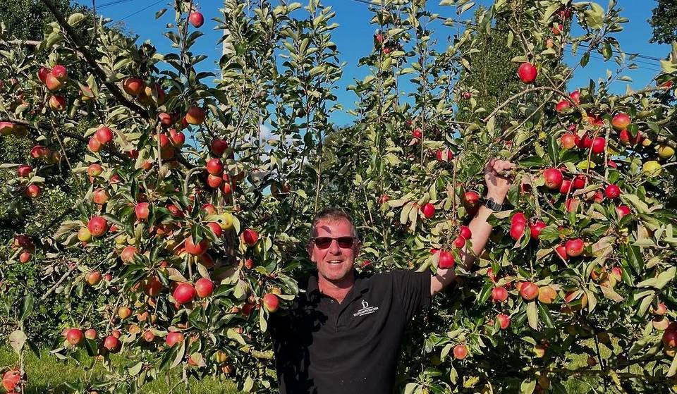 This Festival Dedicated To Apples Just Outside Manchester Returns To Welcome The Autumn Season This Weekend – With Apple Picking, An Apple Character Trail & Cider Tasting