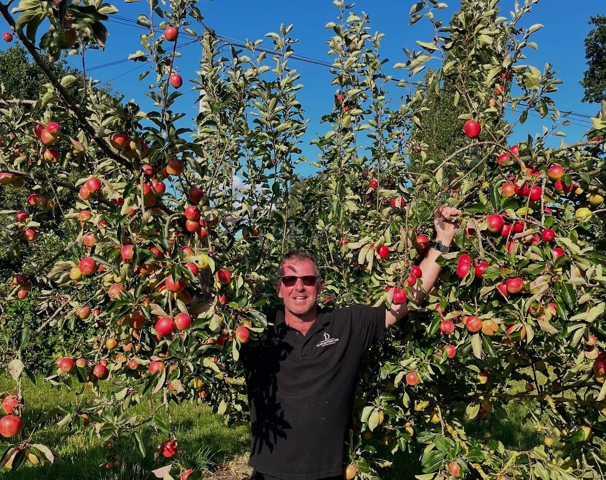 dunham apple fest orchard pose