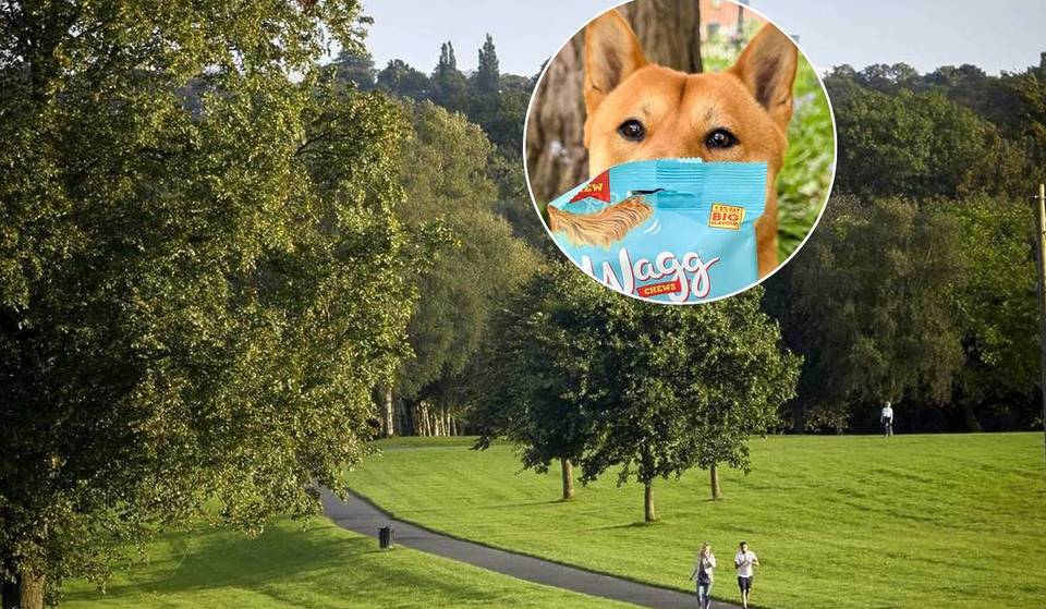 These 30cm-Tall, Dog-Friendly ‘Pupnic’ Benches Are Coming To This Manchester Park For One Day Only – With Doggy Treats & The Chance To Win £500 Worth Of Prizes