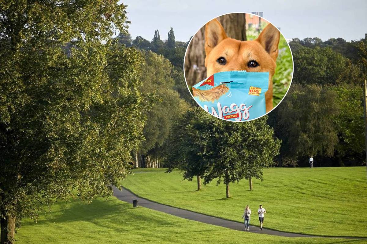 heaton park pupnic benches dog manchester