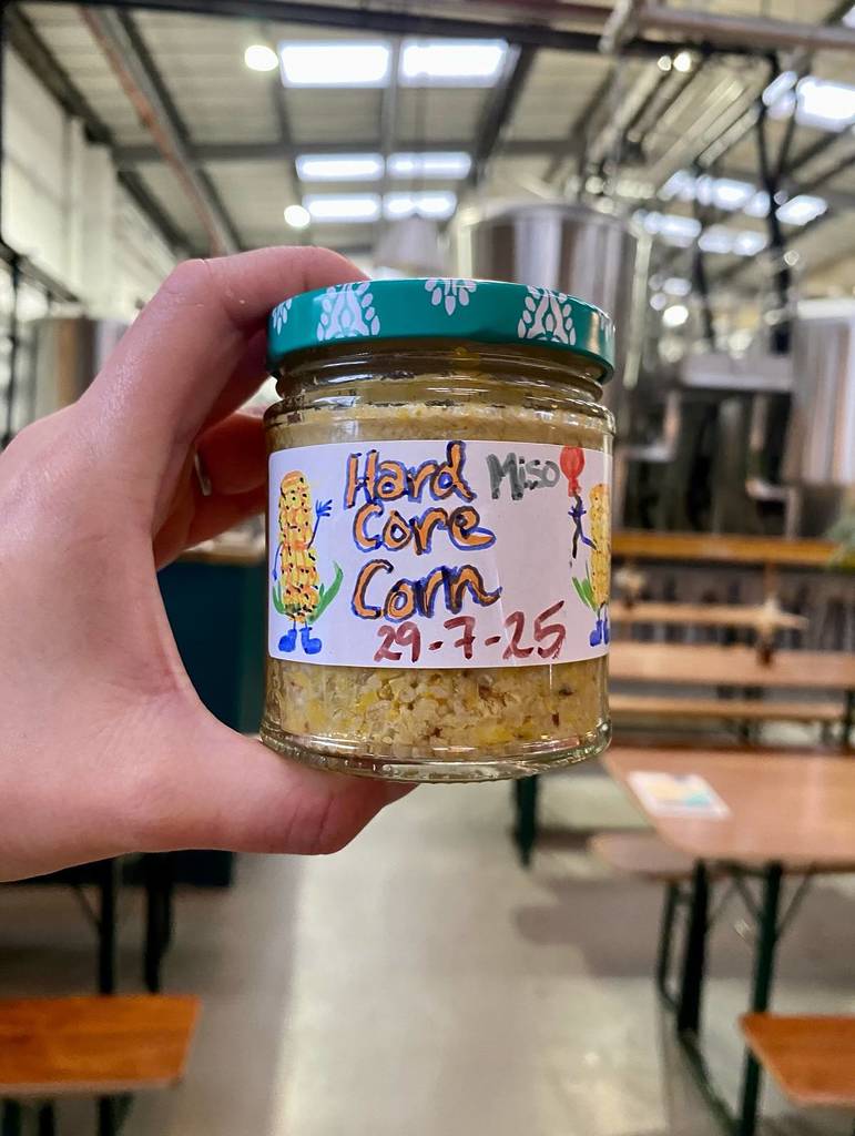 miso corn pickle track pickle club