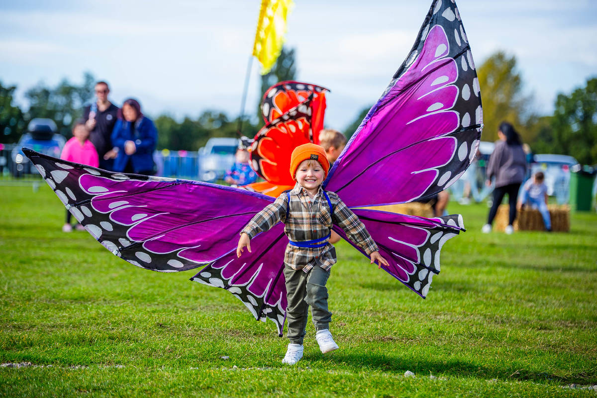 child dressed as butterfly running through field