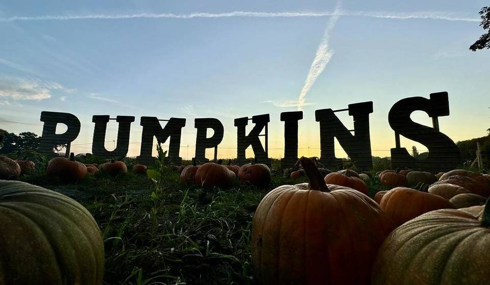 This 500-Acre Farm Just 30 Minutes From Manchester Boasts A Huge Pumpkin Patch &#038; Maize Maze Perfect For Family Fun &#8211; With A Farm Shop &#038; Artisan Cafe
