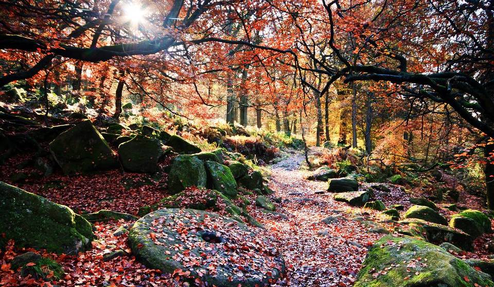 This Magical Peak District Spot Under 1.5 Hours From Manchester Has Been Named One Of The Best Places In The UK For An Autumnal Walk – With Dreamy Waterfalls, Crunchy Woodland & Stunning Views