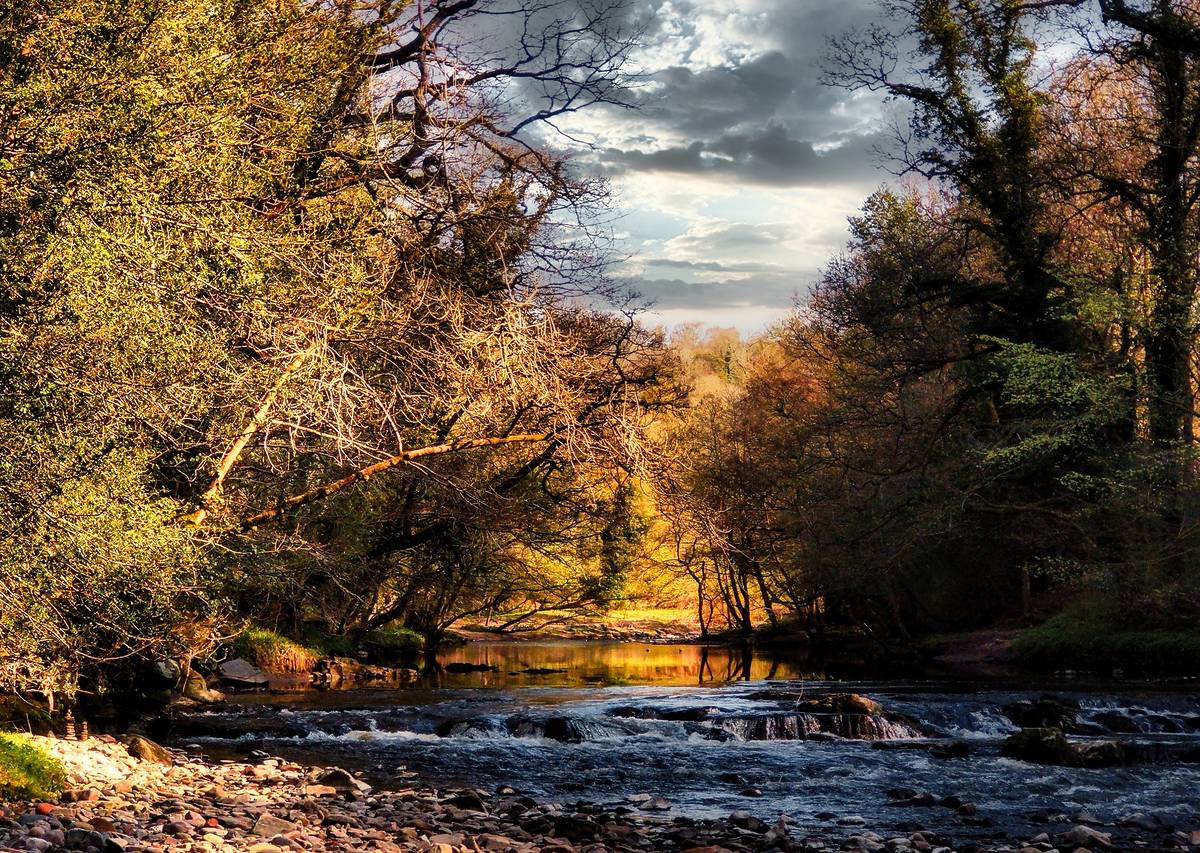 A scenic shot of the River Goyt on a cloudy day, surrounded with trees - Marple, Manchester