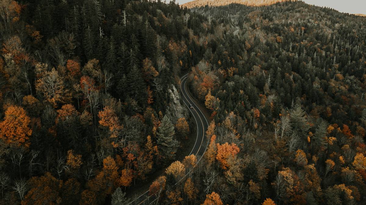 road through the black ridge mountains with autumnal trees in north carolina