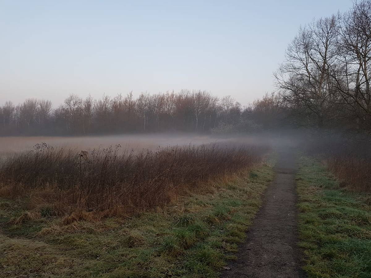boggart hole clough fog