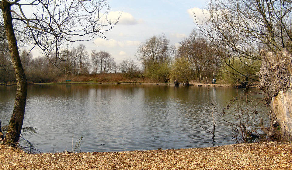 The Eerie 190-Acre Greater Manchester Wood Full Of Folklore And Mystical Creatures &#8211; History, Surrounding Areas &#038; What To Look Out For