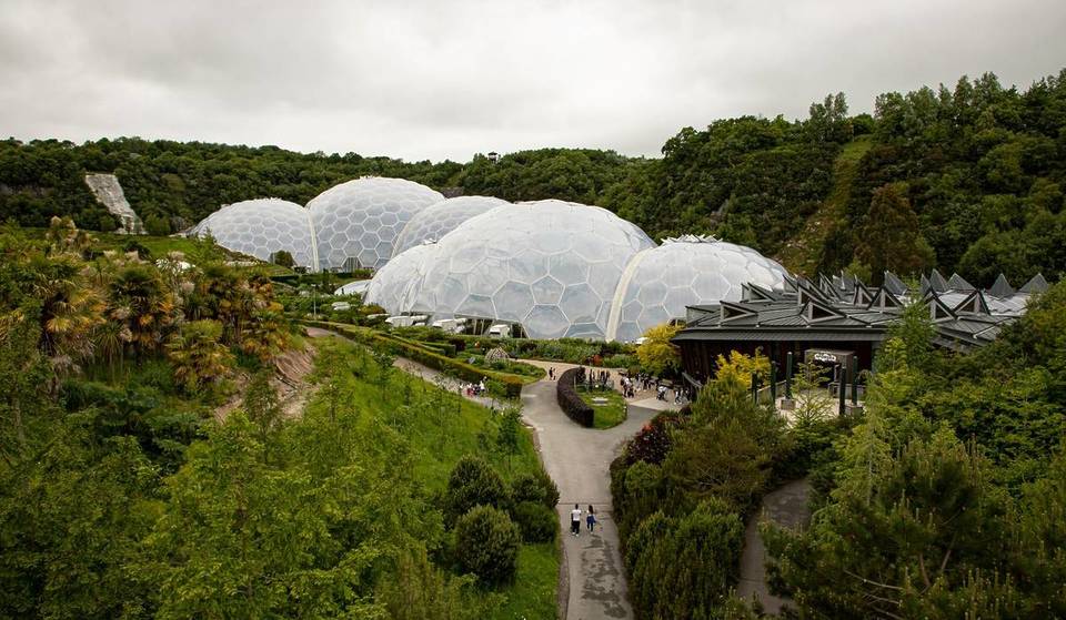 The UK’s Heavenly Green Oasis Is Home To The World’s Largest Indoor Rainforest & 2 Million Plants – And You Can Visit For FREE If You Can Run 5km