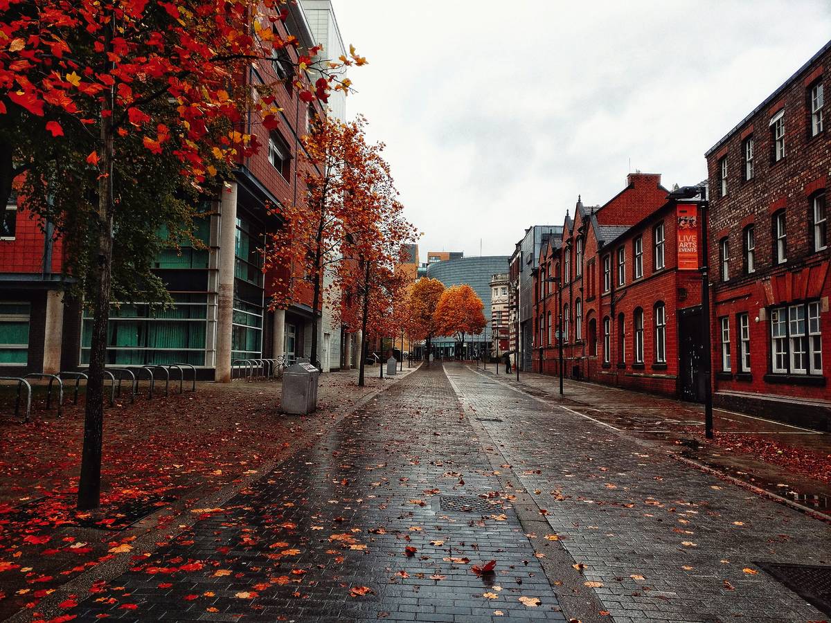 manchester autumn leaves hotspot uk