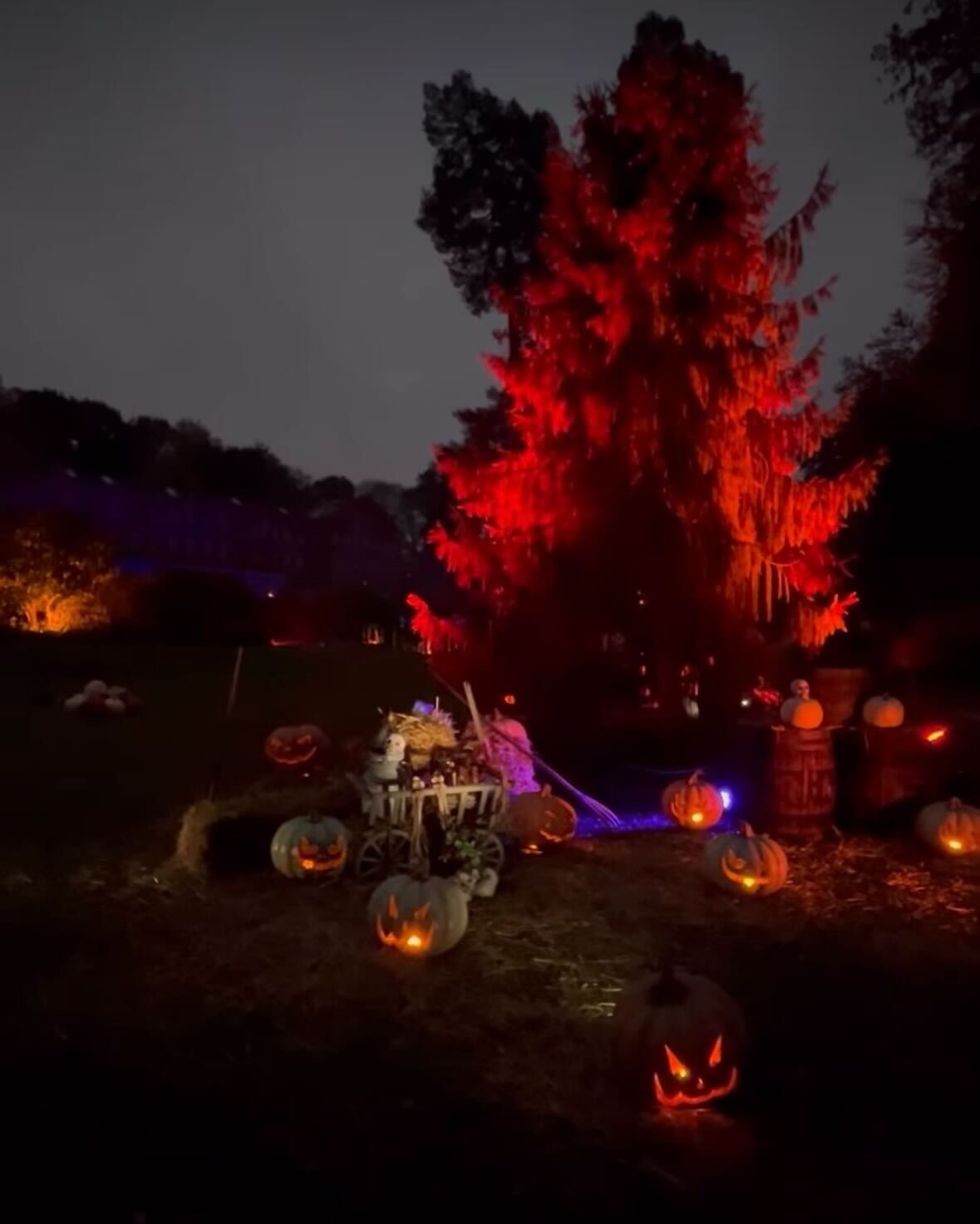 halloween light trail quarry bank