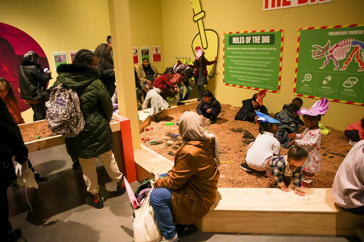 children digging for fossils at manchester museum exhibition