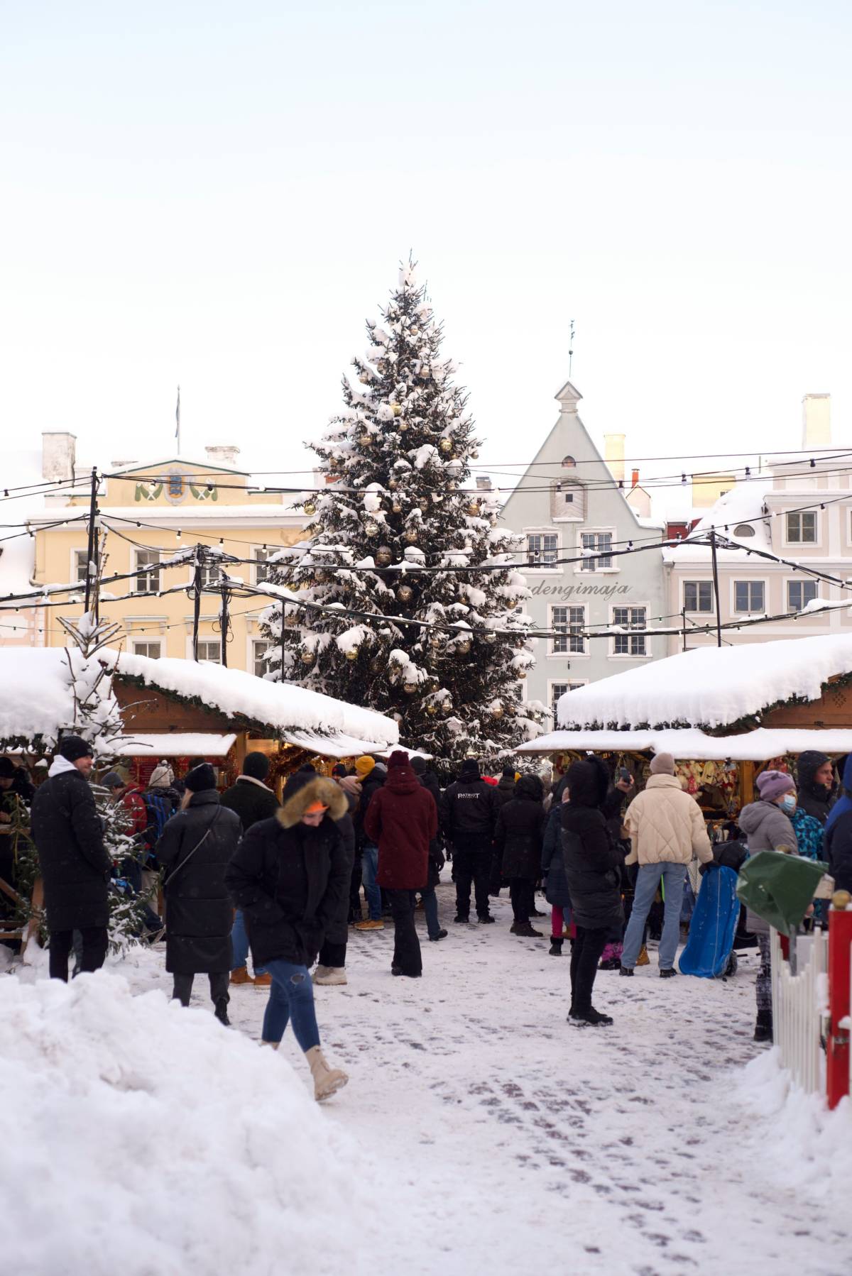 people wandering around tallinn christmas market in estonia with christmas tree in centre and snow on ground and roofs of stalls