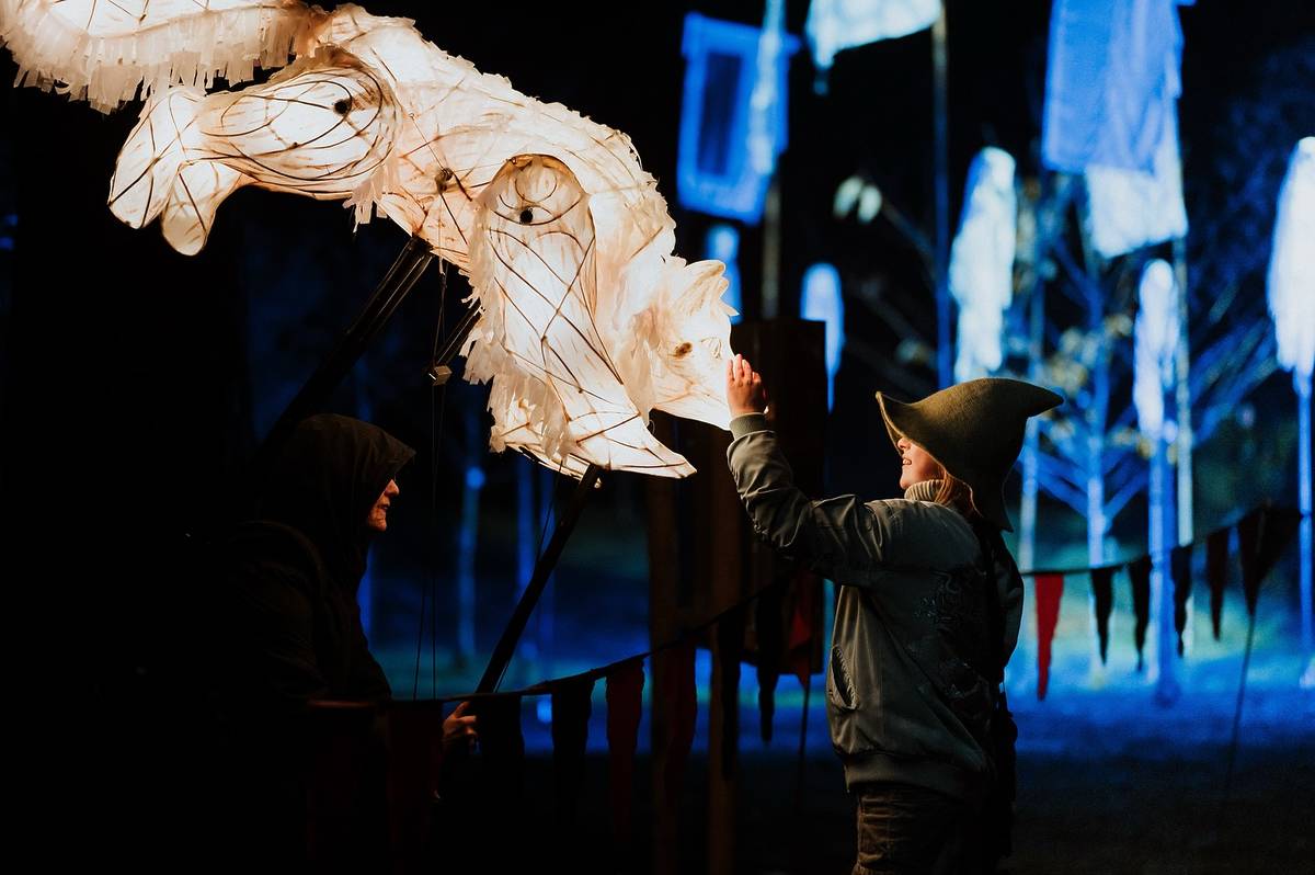 wolf lantern at yuletide trail tatton park