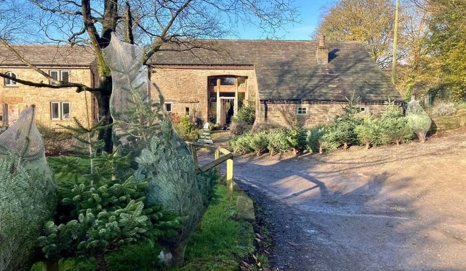 This Magical Christmas Tree Farm Near Manchester Is The Perfect Spot To Pick Your Fragrant Fir Straight From The Luscious Pennines – With Special Wreath Trees & Gorgeous Scenery