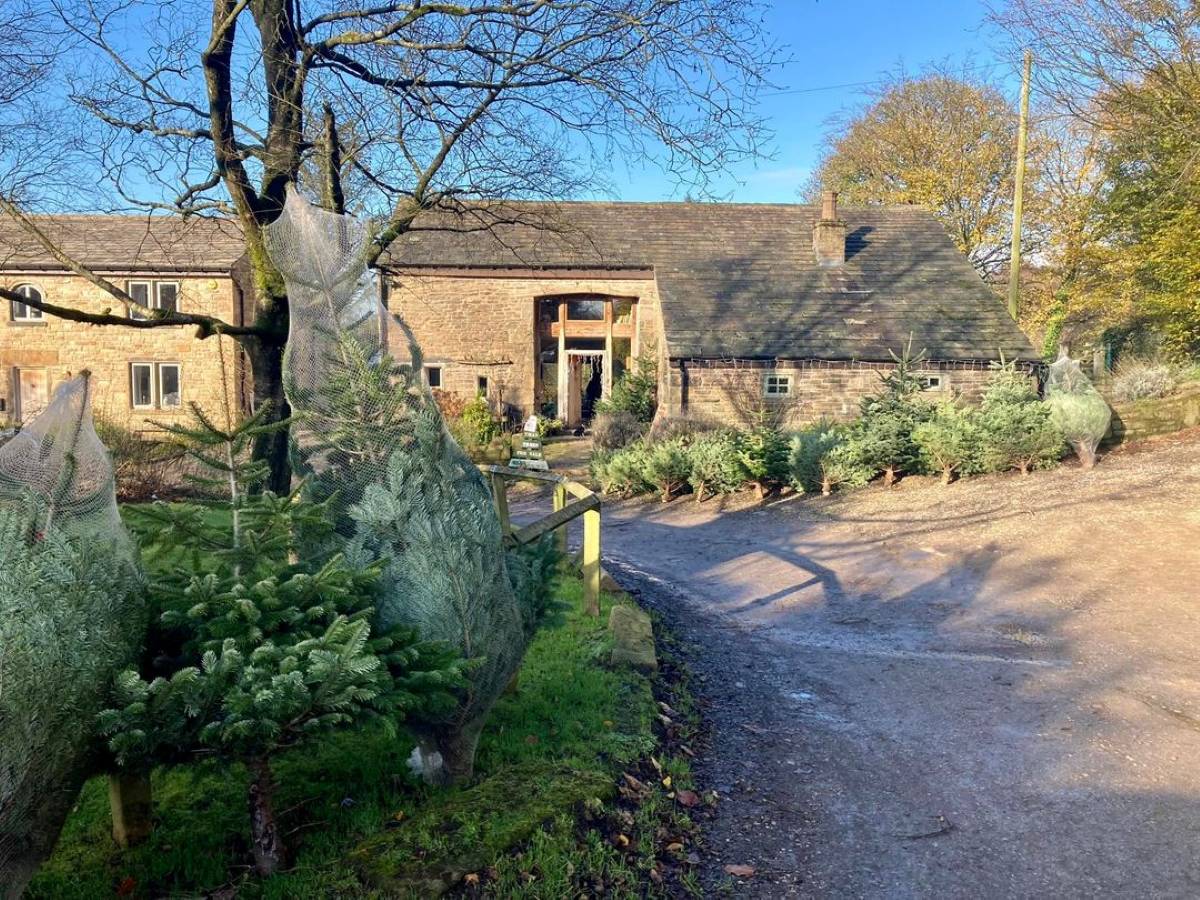 This Magical Christmas Tree Farm Near Manchester Is The Perfect Spot To Pick Your Fragrant Fir Straight From The Luscious Pennines – With Special Wreath Trees & Gorgeous Scenery