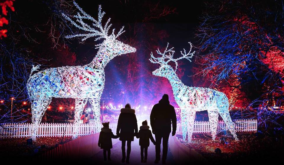 One Of The UK’s Largest Winter Gardens Is In Greater Manchester – And It’s Been Named One Of The Best Family Days Out This Winter, Full Of Festive Light Trails, Frosty Walks And Wildlife