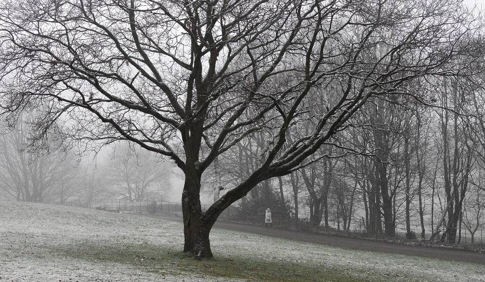 Greater Manchester’s Largest Park Has Been Named One Of The Best Places In The UK For A Festive Walk This Christmas – With A Fairytale 18th-Century Country House & Crisp, Scenic Woodland