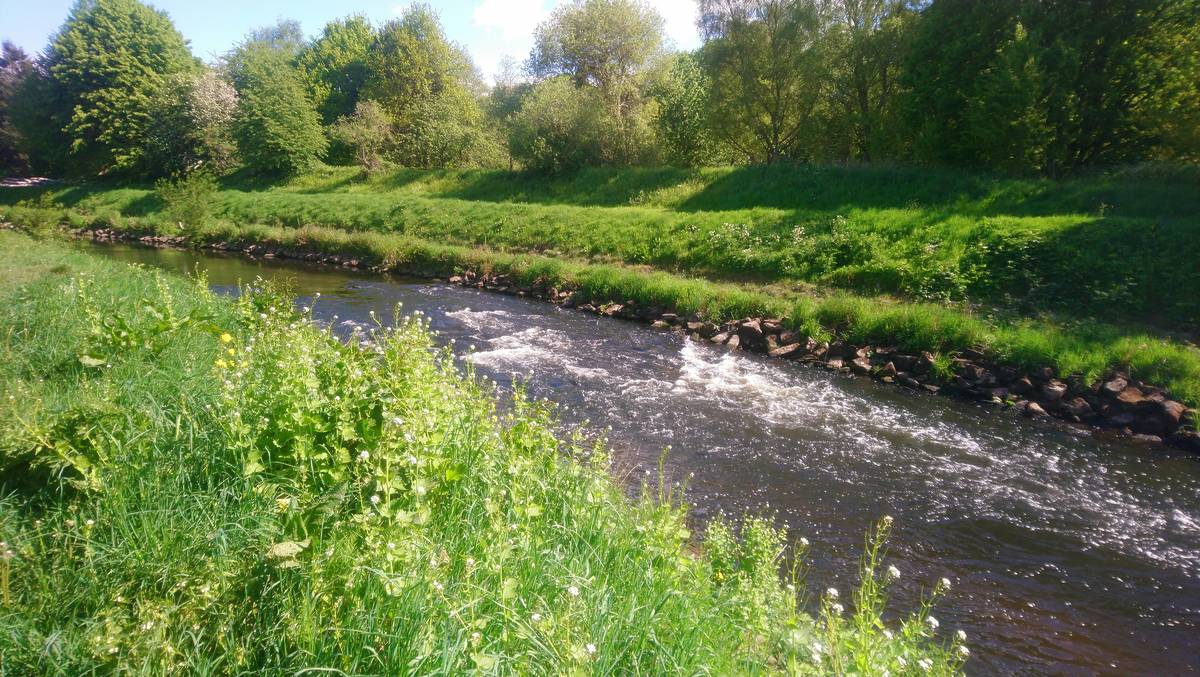 mersey valley way river bank