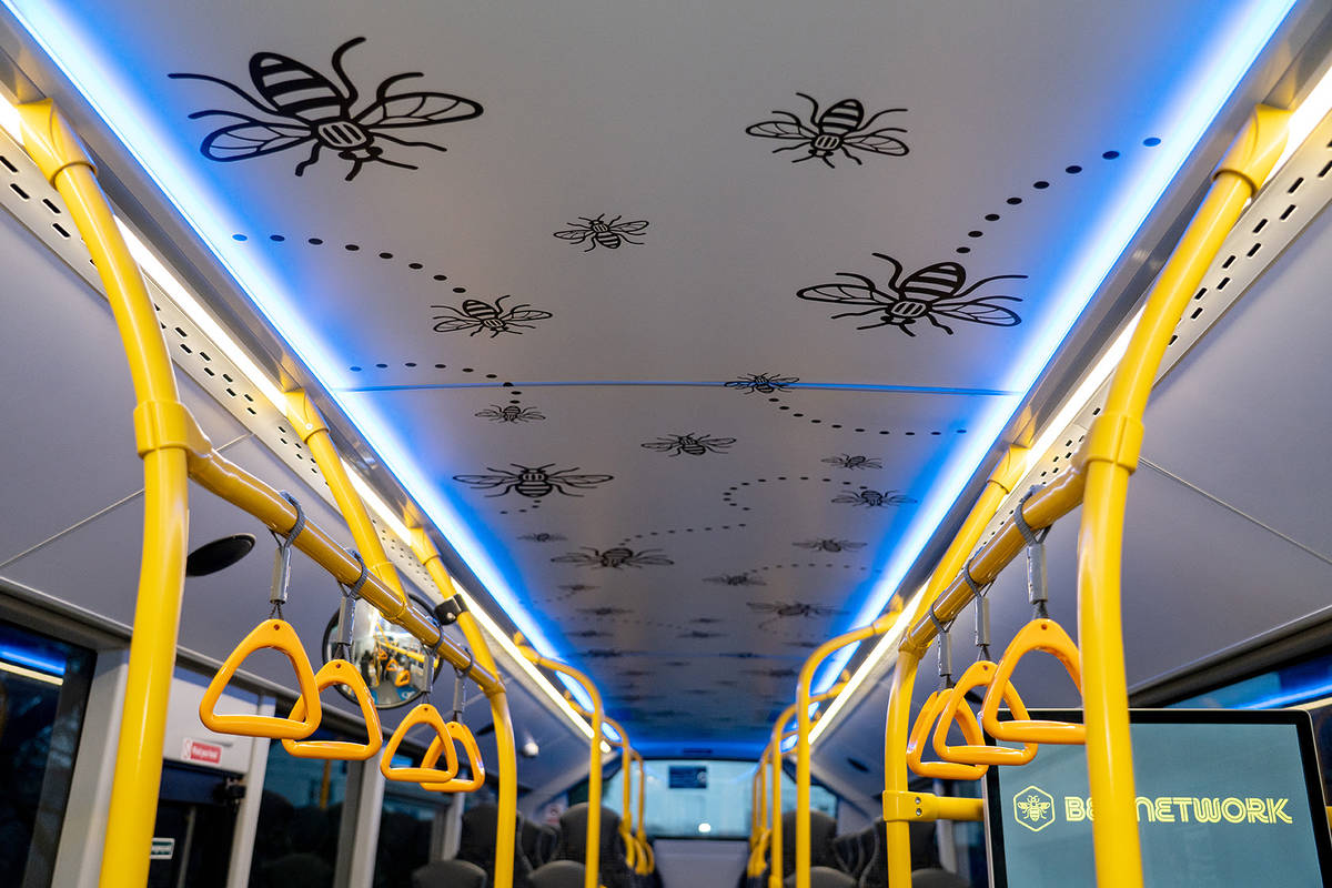 olivia campbell hardy memorial bus arena attack bee network