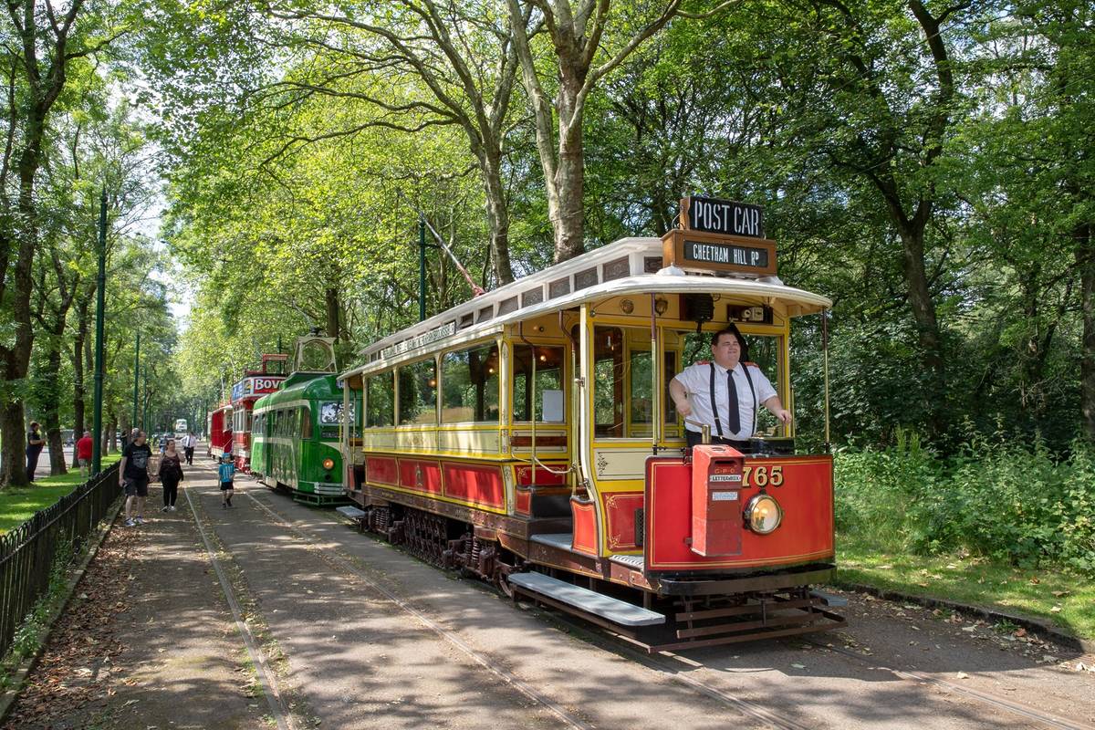 group of vintage trams going through heaton park in manchester