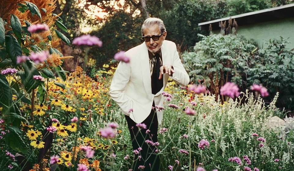 Jeff Goldblum Of ‘Wicked’ And ‘Jurassic Park’ Fame Has Announced His First-Ever UK Tour Including A Manchester Show – Here’s How To Get Tickets