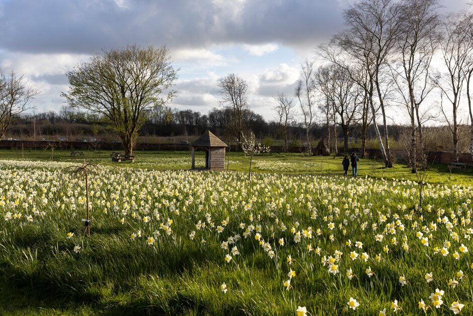 rhs garden bridgewater spring national lottery open week