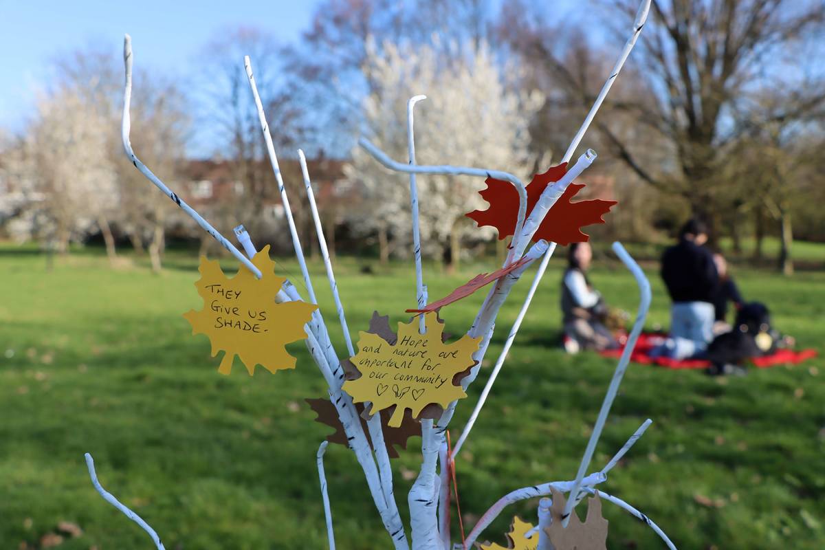 participants at ECEG share why they love trees 