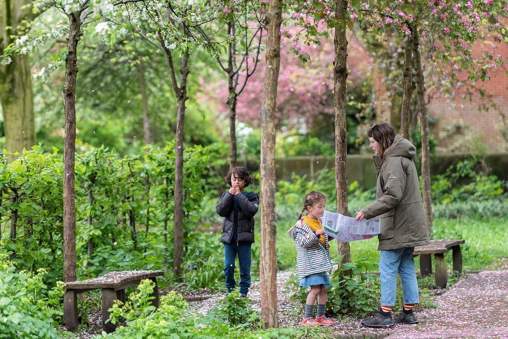 bloomtown trail manchester family amongst trees