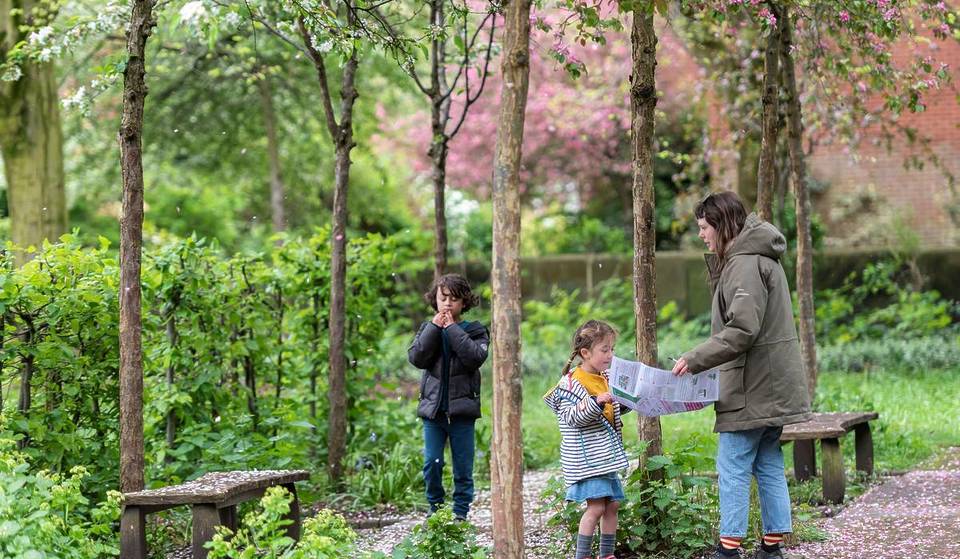 A free, citywide festival is coming to Manchester to celebrate the arrival of spring this week, including a trail where you can see the best of the cherry blossom – plus poetry walks &amp; blossom-themed bike rides