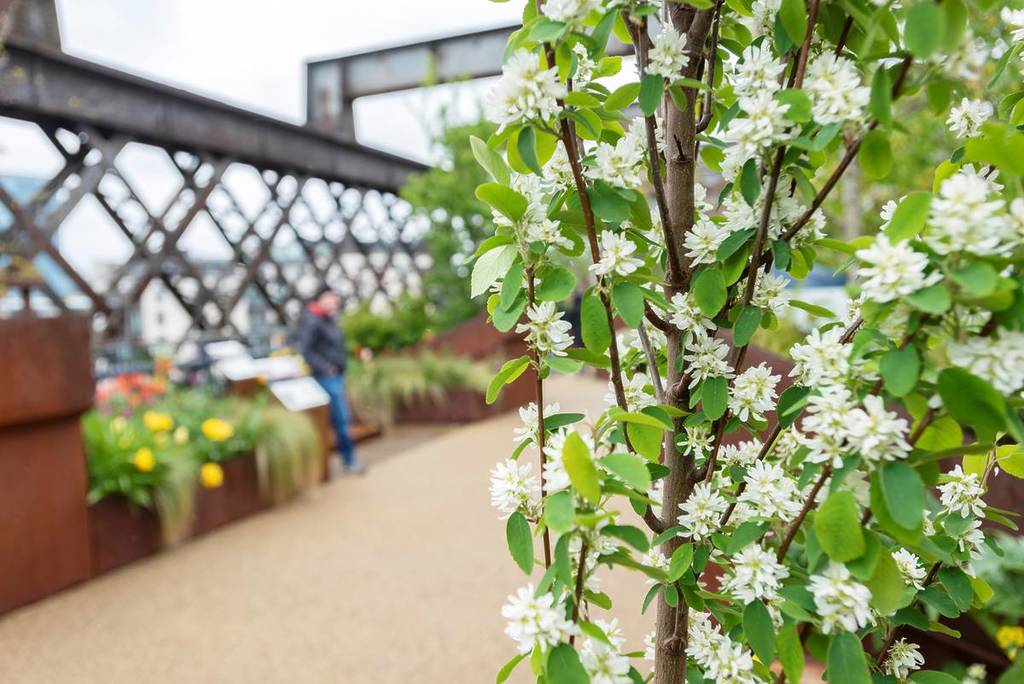 bloomtown festival manchester blossom castlefield viaduct