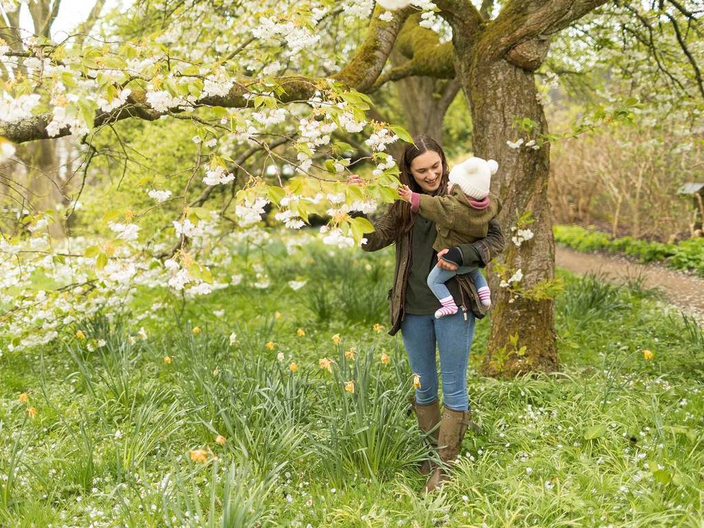 bloomtown festival manchester mother and baby under blossom tree