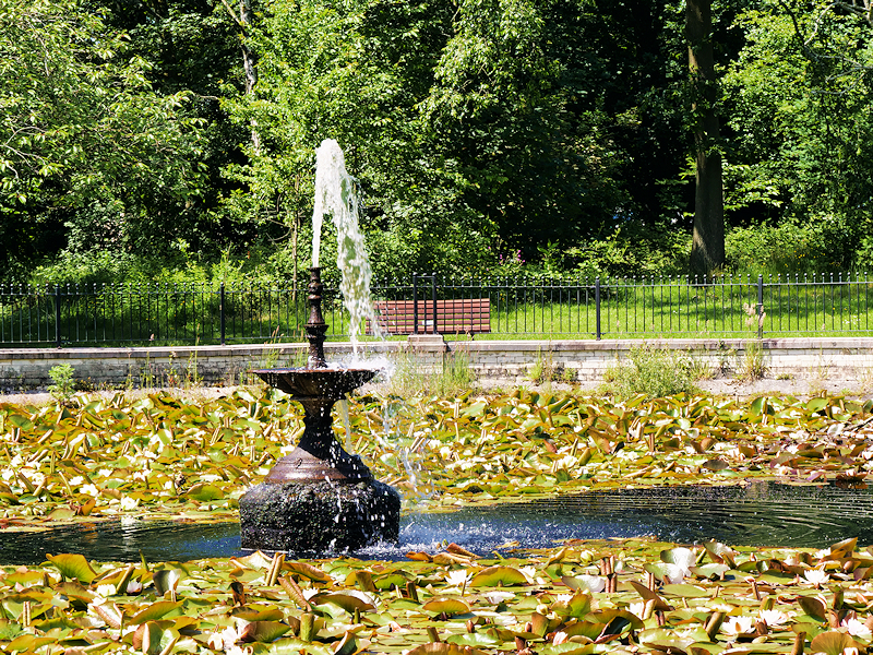 Ornamental Fountain and Lily Pond at Haigh Country Park