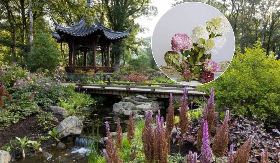 The home of the UK’s largest walled garden is hosting a world-first exhibition utilising secret potting sheds &amp; hidden woodlands, and it’s just a short trip from Manchester – here’s how to get tickets