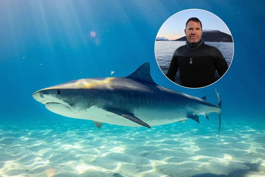 その他 shark TV presenter & wildlife conservationist Steve Backshall to bring