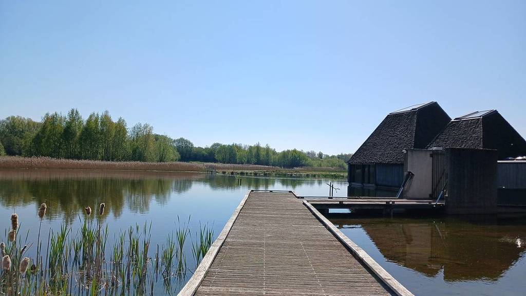 boardwalk towards lake at brockholes nature reserve
