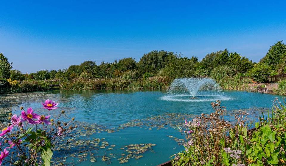 This beautiful lakeside spot near Manchester just opened a new summer walk with a sandy beach and character pedalos – it’s the perfect family day out