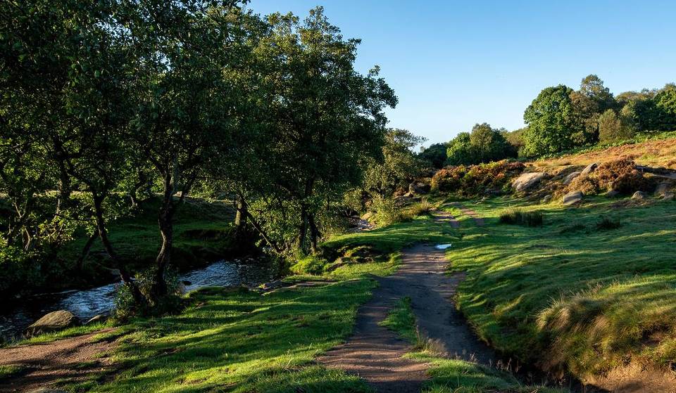 This stunning 9.5km Peak District circular through ancient woodland has been crowned the top destination for a walk &amp; Sunday roast in the UK – and it’s just 1.5 hours from Manchester