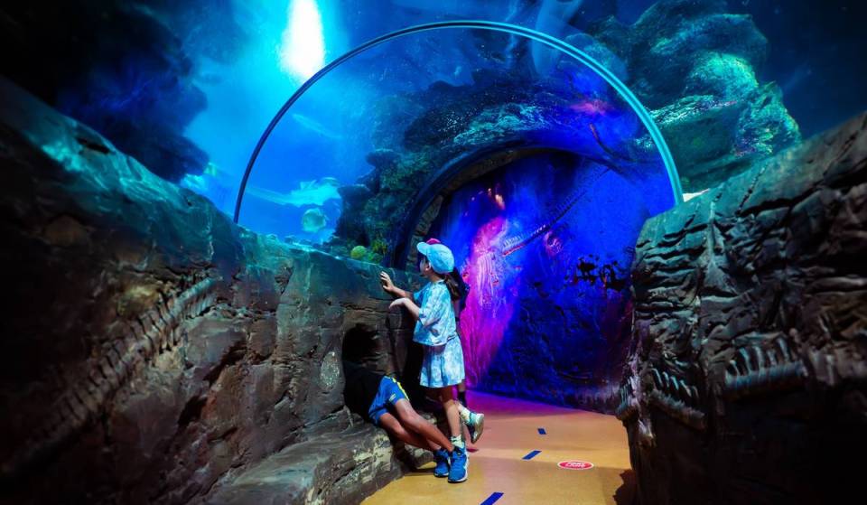 Day trip to London: How to visit three of London’s top nostalgic attractions in a single day for just a fraction of the price this summer