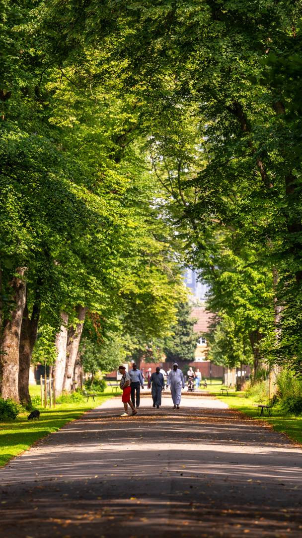 These seven Manchester green spaces have officially been named among the best in the UK - including Greater Manchester's largest park &amp; a cemetery that opened in 1837