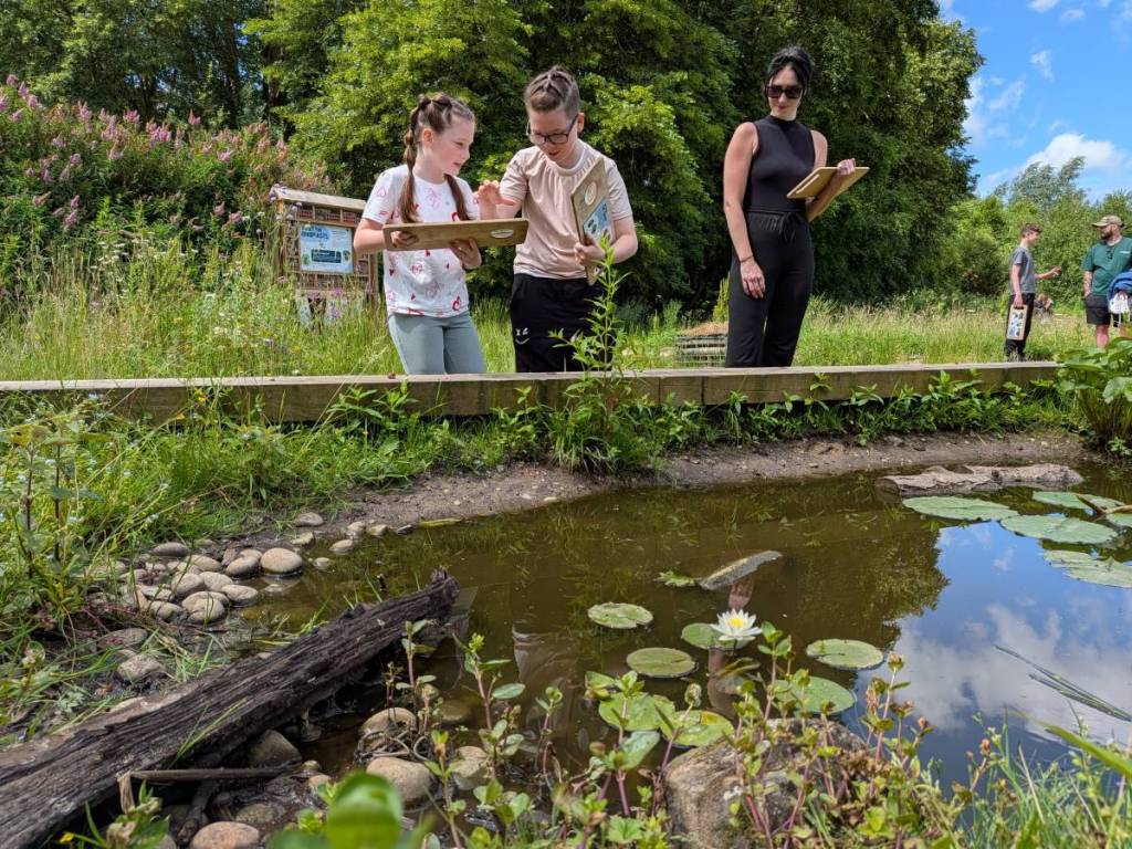 children bug hunting at the wet meadow pond at WWT Martin Mere, Burscough, Lancashire