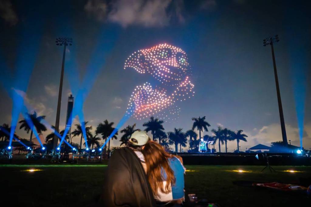 harry potter droneart show where drones form the image of dobby in the sky, a couple watch from the ground