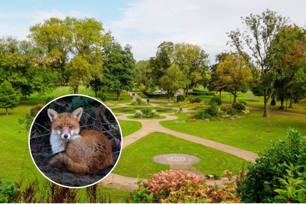 peel park 180 wildlife trail salford