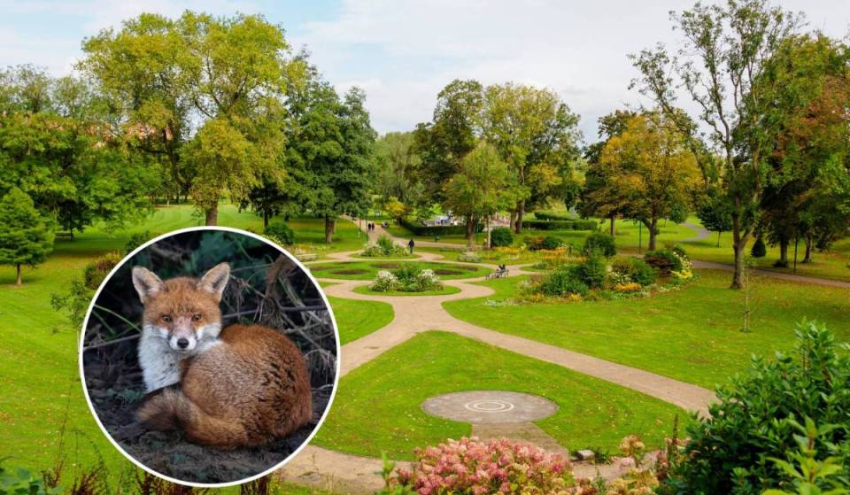 One of the UK’s first public parks opened by Queen Victoria is throwing a free 180th birthday celebration with live theatre, music &amp; interactive wildlife trails in Salford