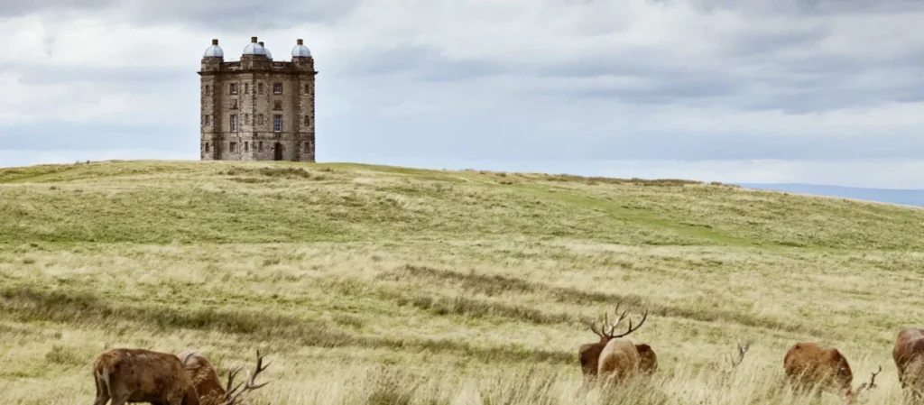 lyme park deer hill