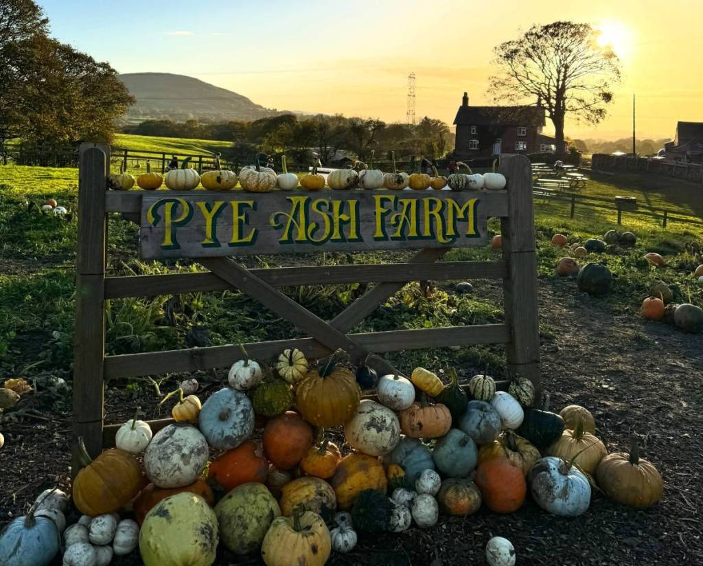 pye ash farm macclesfield pumpkin patch