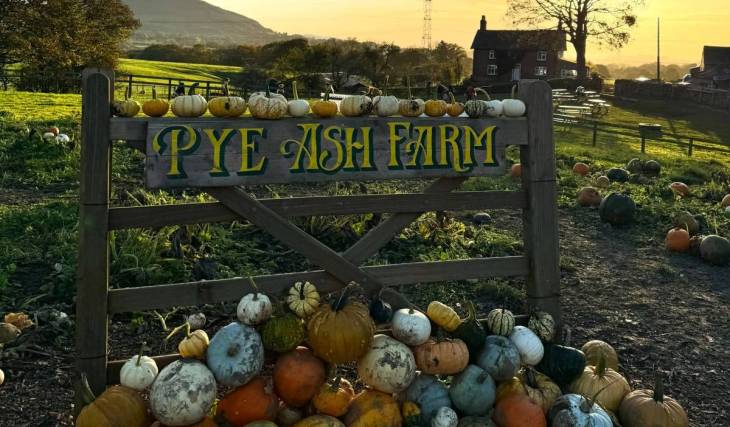 The best pumpkin patches near Greater Manchester opening for autumn – including a farm with over 20,000 pumpkins just 30 minutes from the city centre