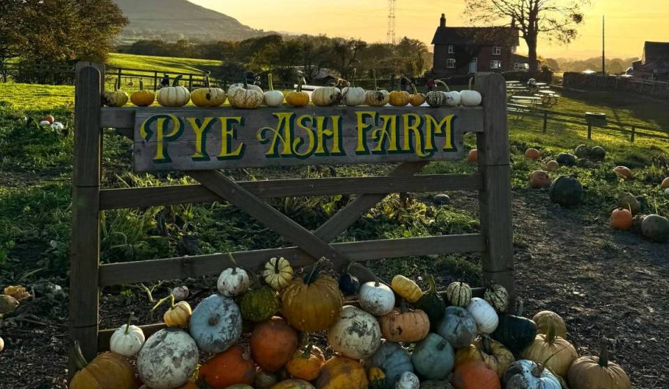 The best pumpkin patches near Greater Manchester opening for autumn – including a farm with over 20,000 pumpkins just 30 minutes from the city centre