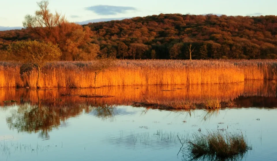 The coastal autumn spot 90 minutes from Manchester that quietly beats the Lake District for spectacular changing leaves – and it’s the only Northern area in England’s top 10