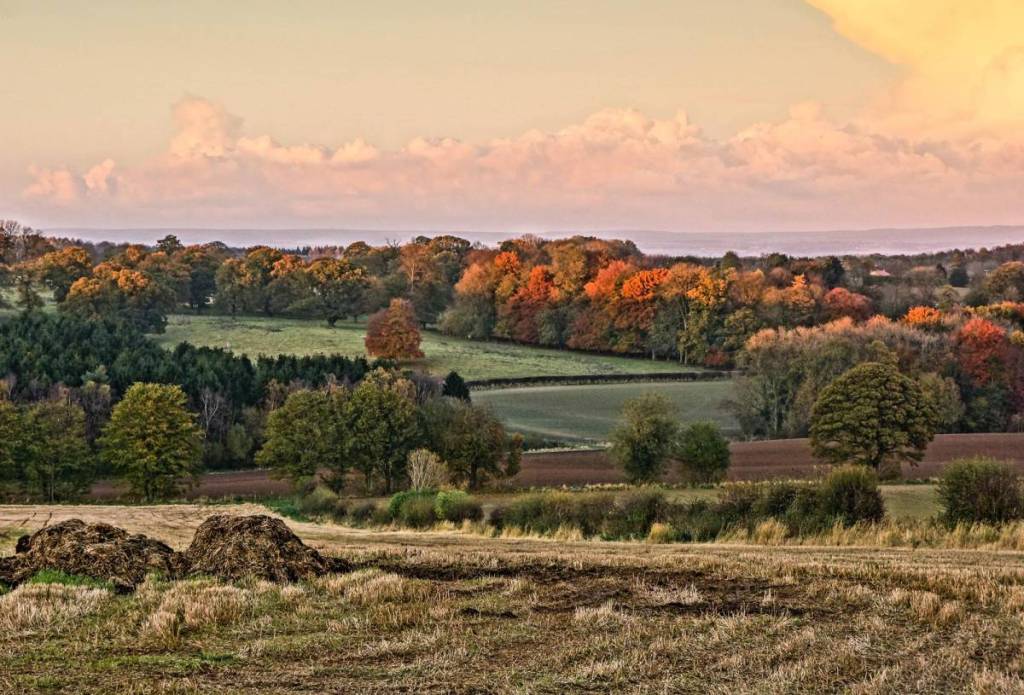 howardian hills north yorkshire